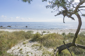 Bornholm Snogebæk Urlaub Natur Strand Meer Sommer Insel 