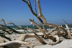 Bornholm Snogebæk Urlaub Natur Strand Meer Sommer Insel 